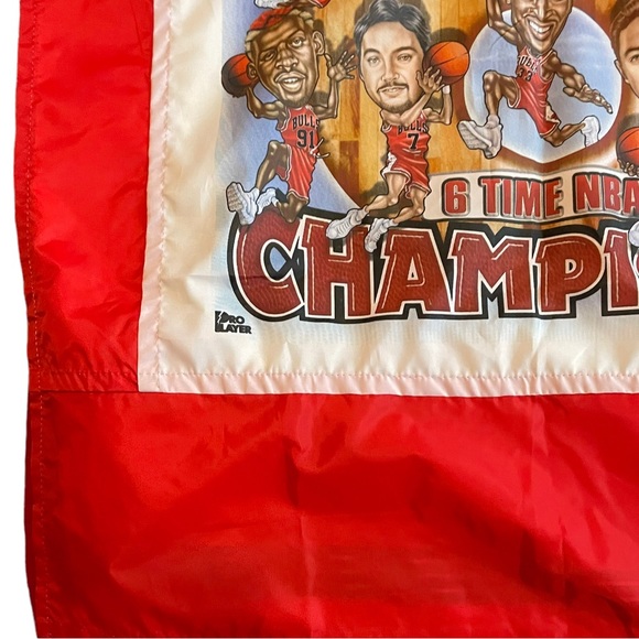 Vintage Chicago Bulls 1998 Championship Flag Banner Caricature NBA Finals Jordan - Picture 7 of 16
